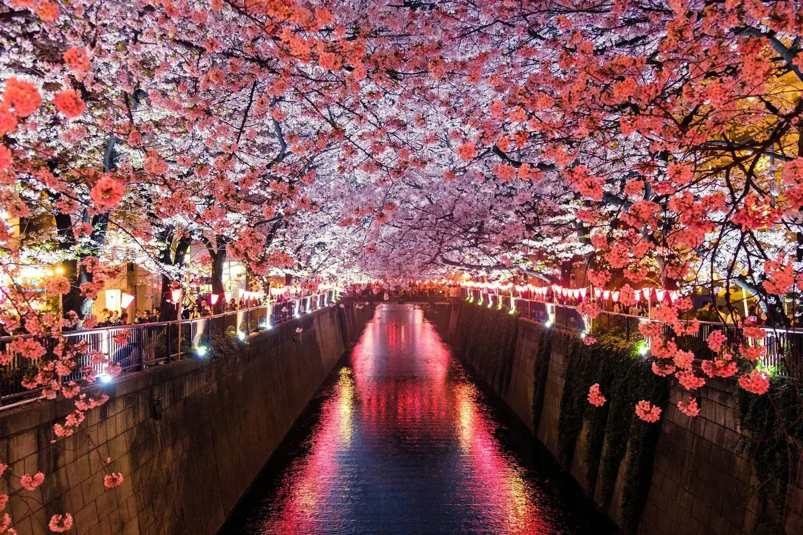 Was kostet eine Japanreise